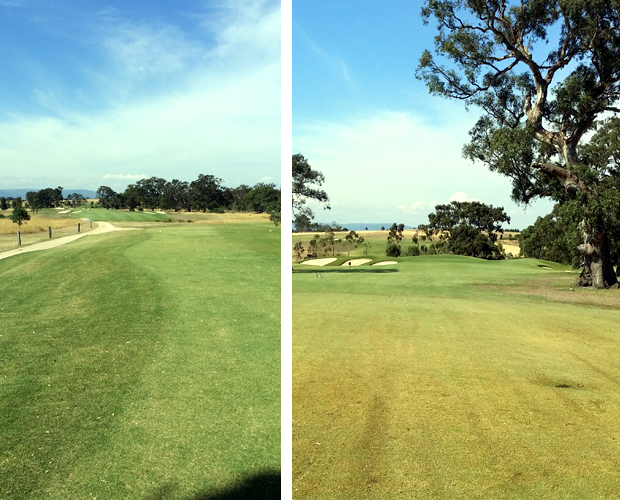 Growling Frog Golf Course, Golf Course Review, Growling Frog